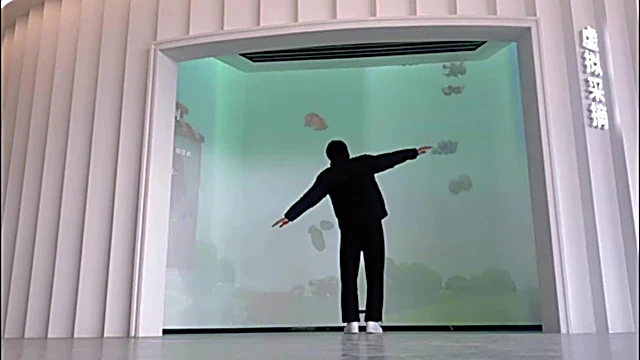 体感运动交互展示